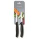 Set de cutite VICTORINOX 6.7603.B